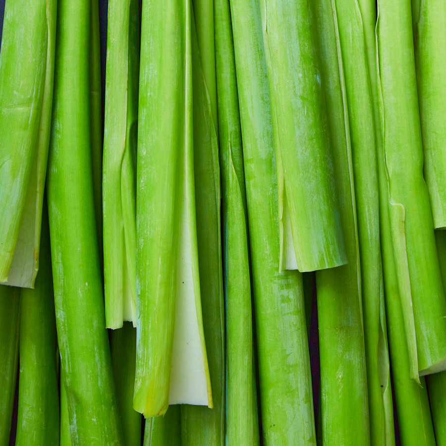 Southern Asia Produce