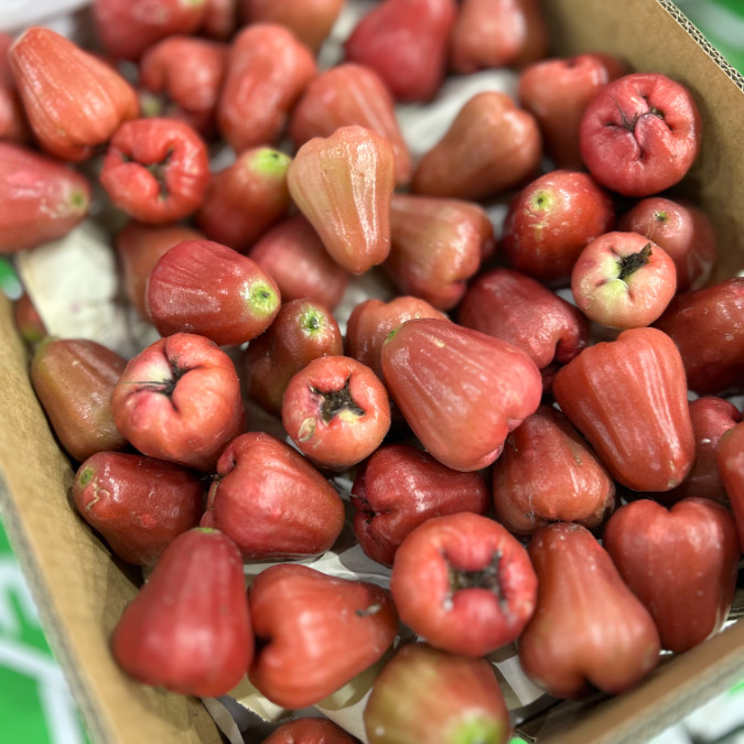 African Pride Custard Apple | Depot Providores